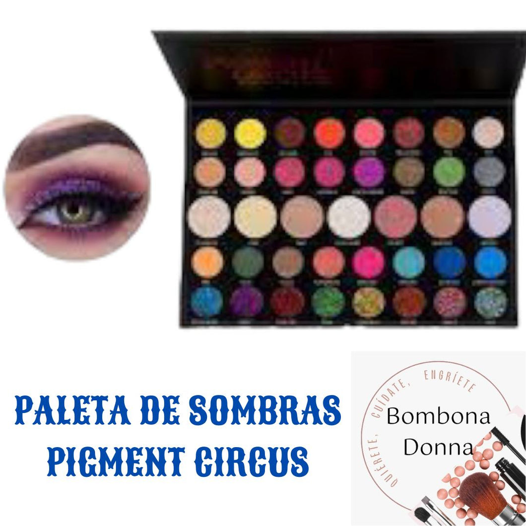 PALETA DE SOMBRAS PIGMENT CIRCUS - Ever Beauty